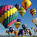 LOTS of Balloons